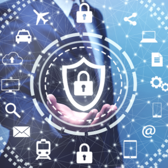 Bluella’s Security Services
